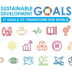 UN SDGs