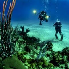 Diving