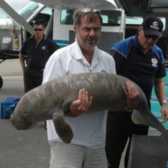 Trevor Long holding a dugong