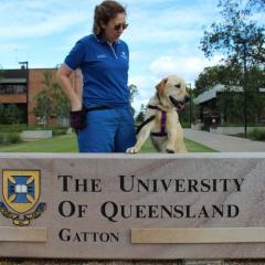 UQ VETS CSC Animal Behaviour Technician Donna Marchiori with teaching dog Arthur at UQ's Gatton Campus.
