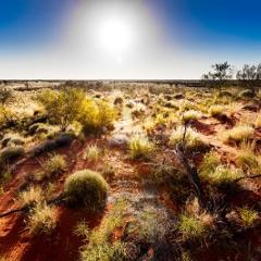 Desert