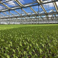 Horticulture facility