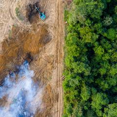 Environmental destruction