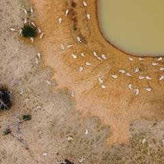 Dry Australia