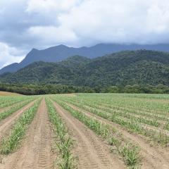 Farm