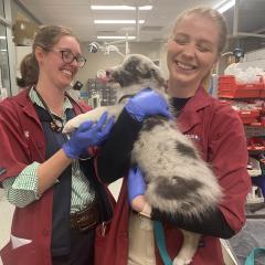 Students holding a dog