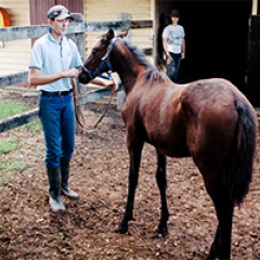 Mitchell stands with a horse