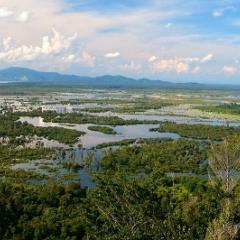 Peatlands