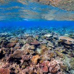 Great Barrier Reef