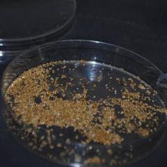Ground pearls