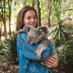 Person handling a koala