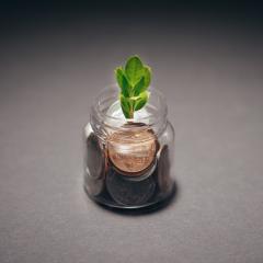Money in jar with a plant growing out of it